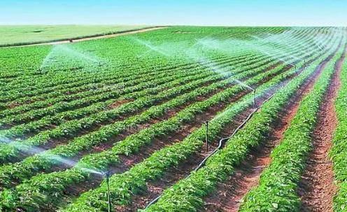 被摸奶子嗯啊哈啪啪啪啪动漫农田高 效节水灌溉